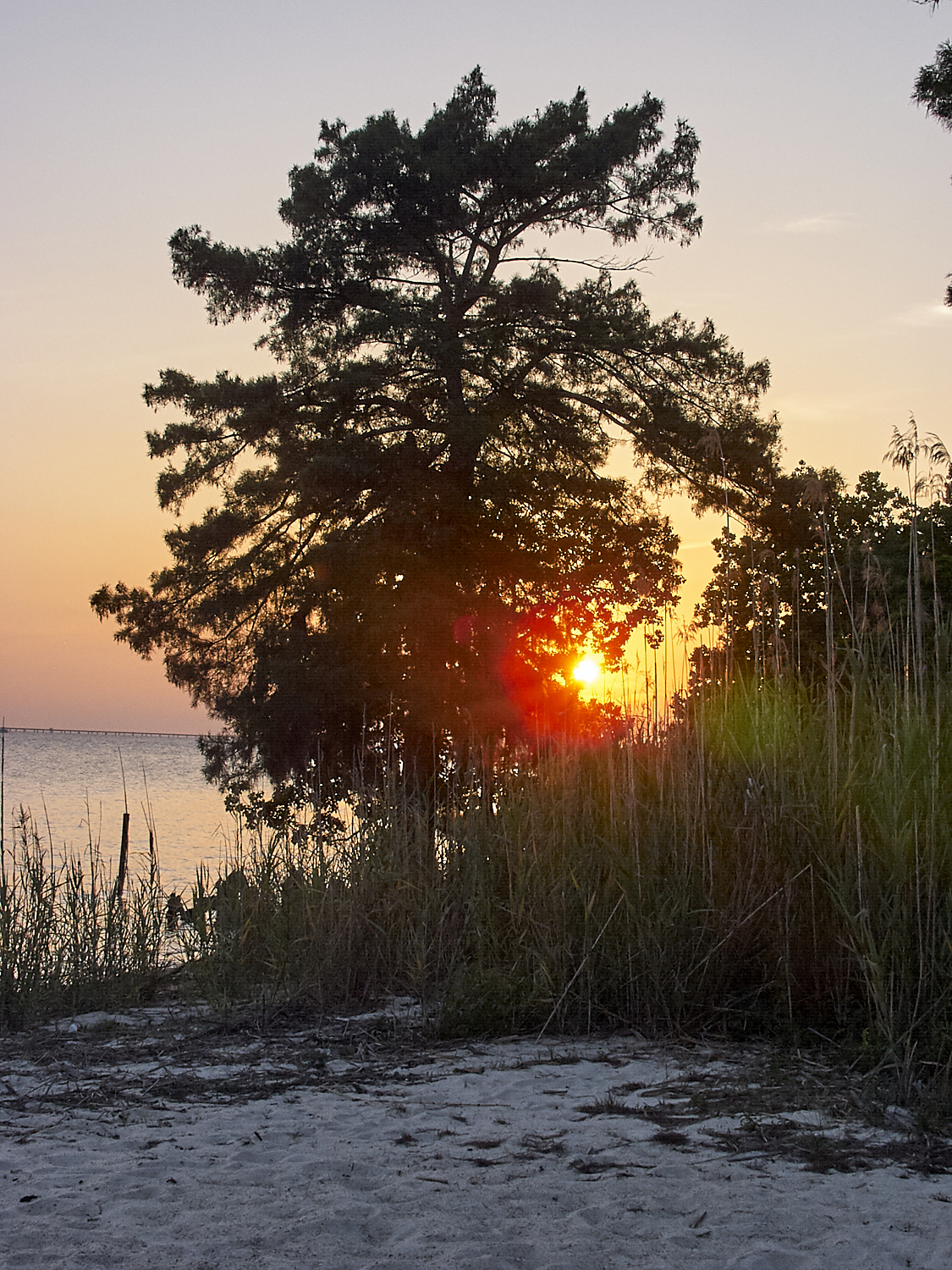 Spring Scout Campout