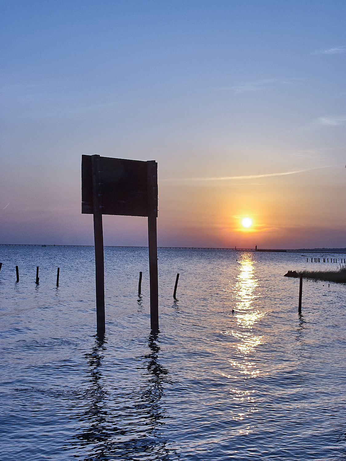 Spring Scout Campout