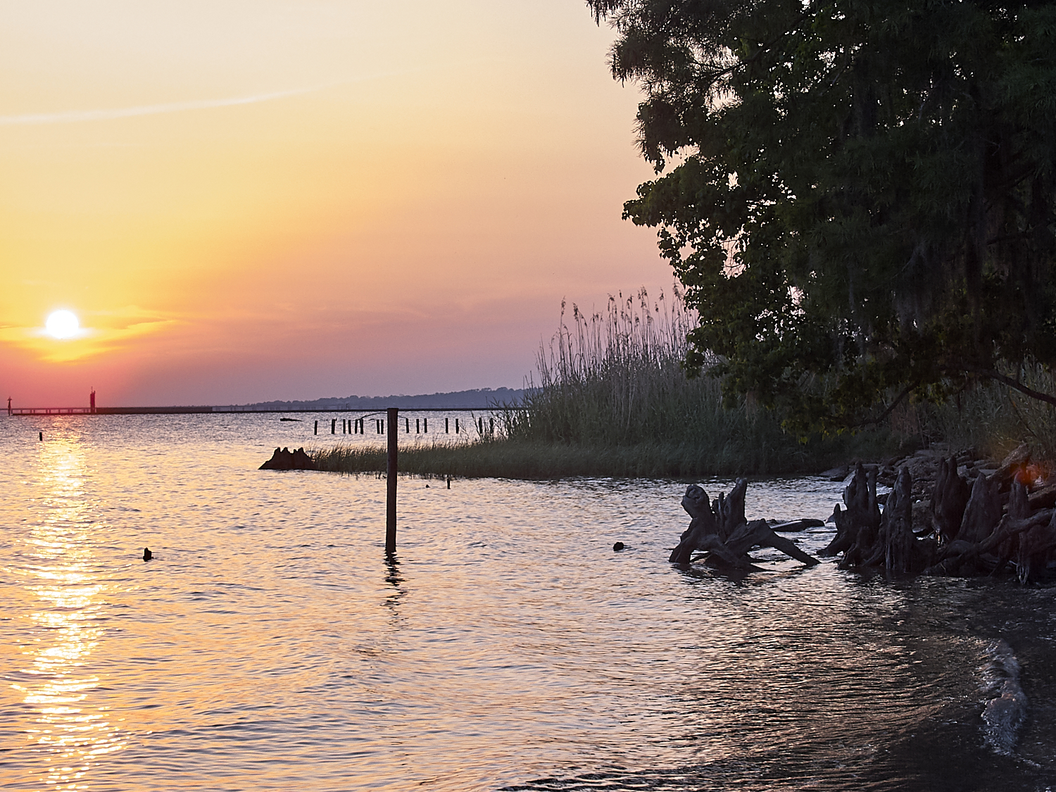 Spring Scout Campout