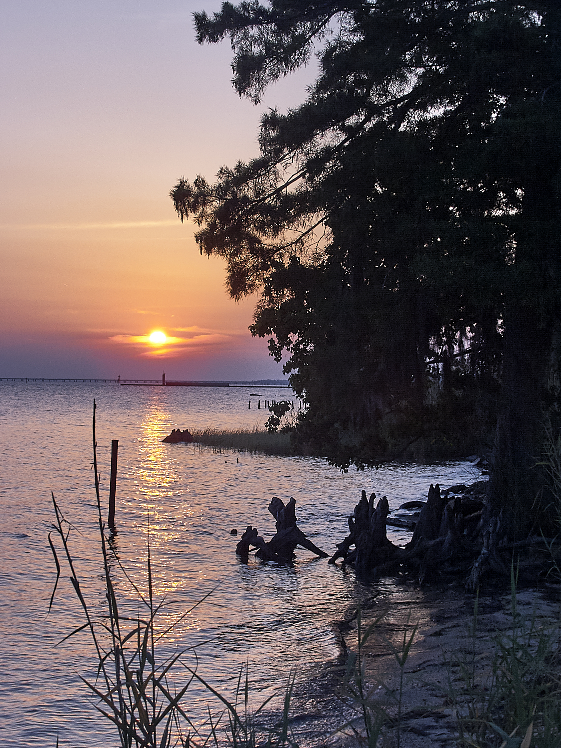 Spring Scout Campout