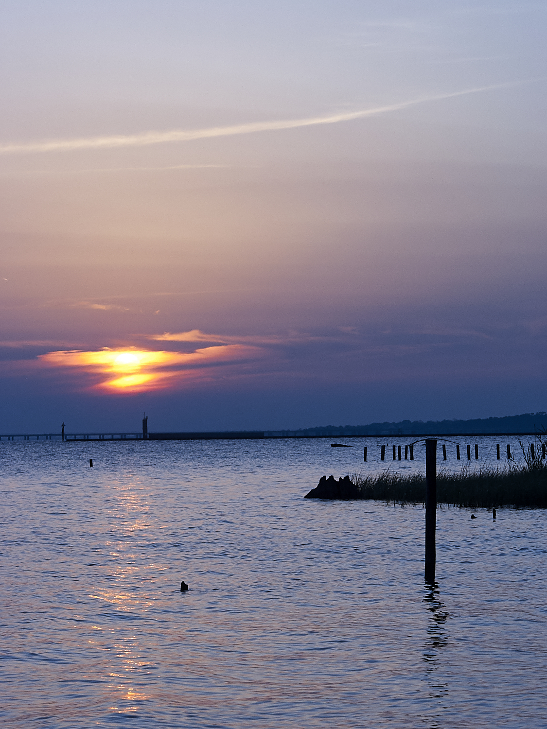 Spring Scout Campout