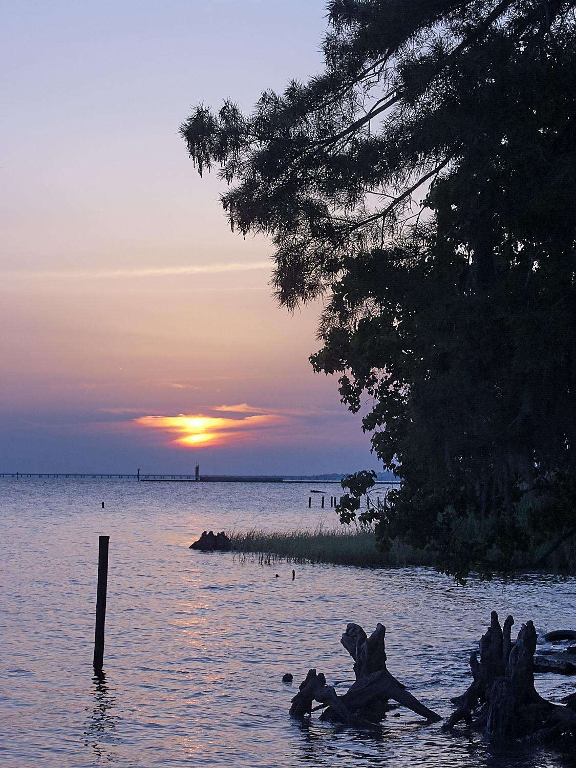 Spring Scout Campout