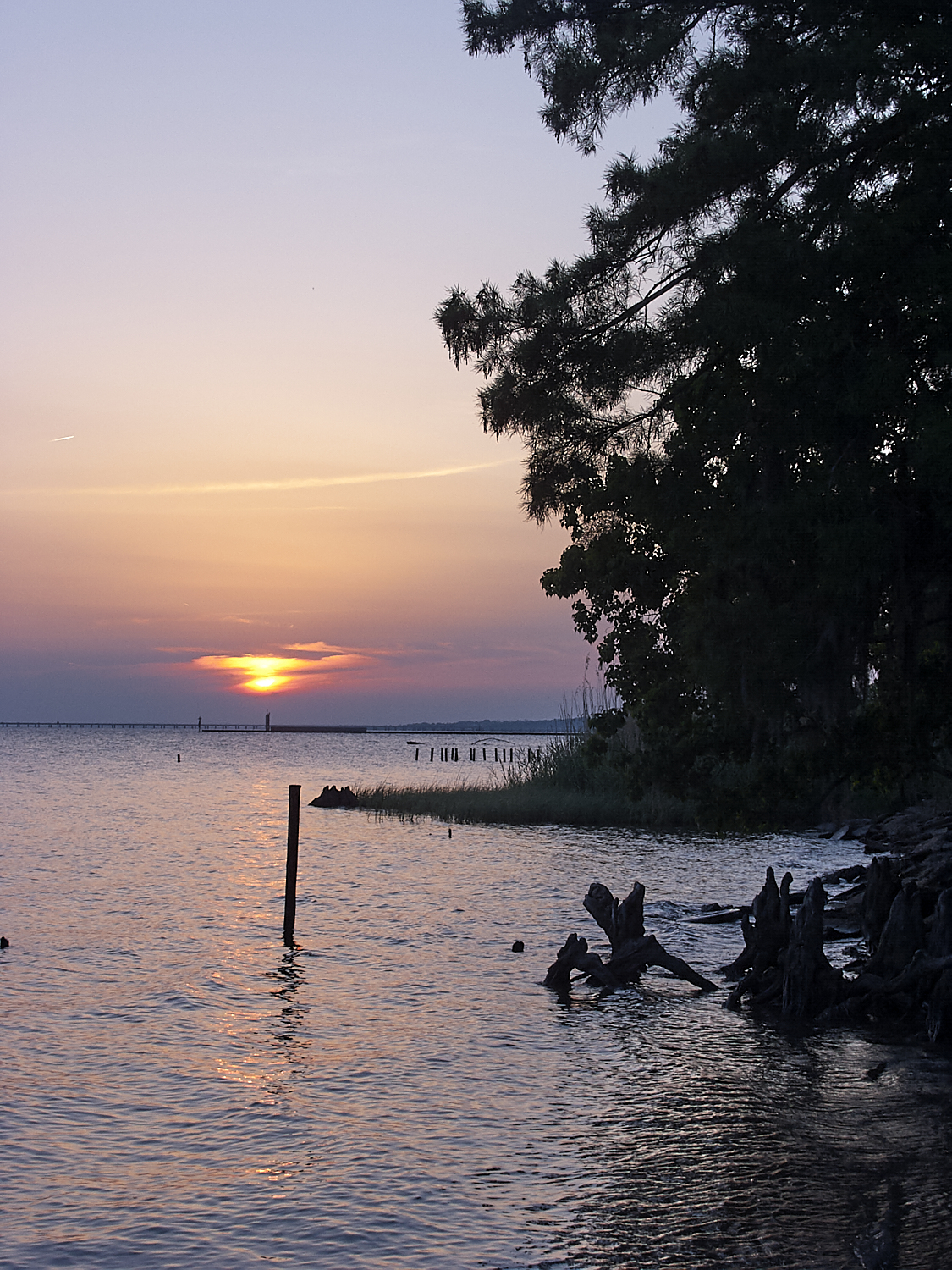 Spring Scout Campout