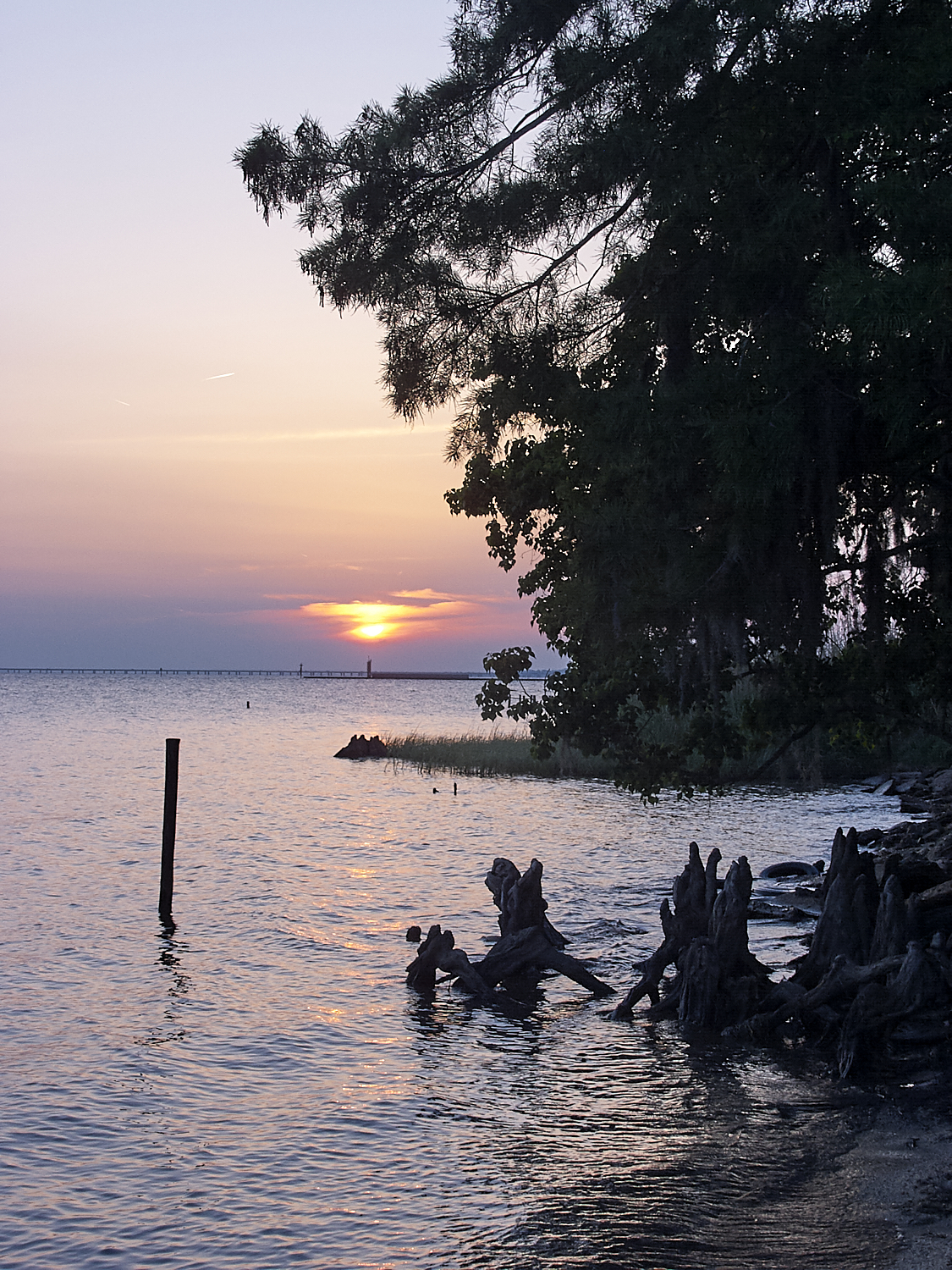 Spring Scout Campout