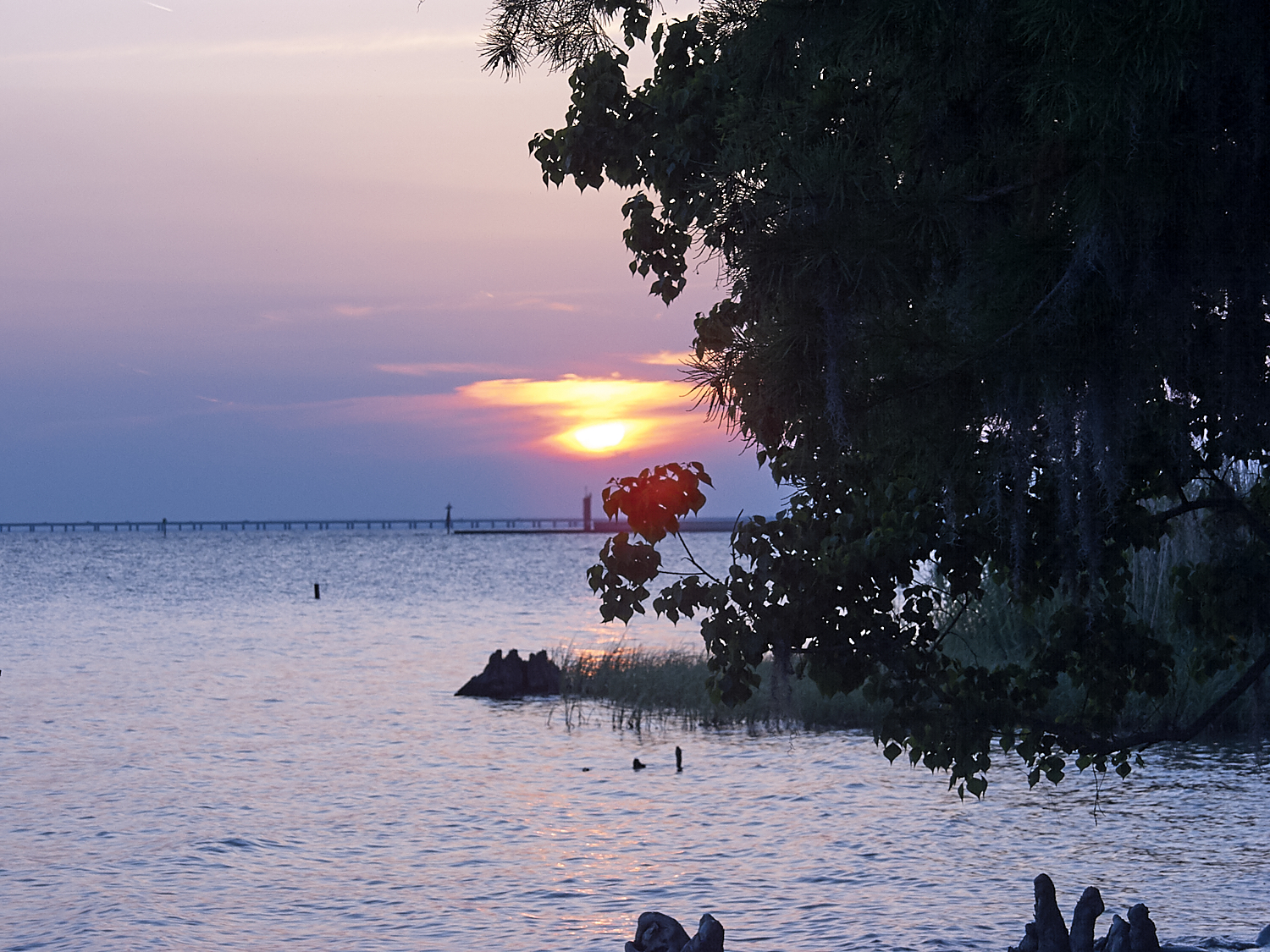 Spring Scout Campout