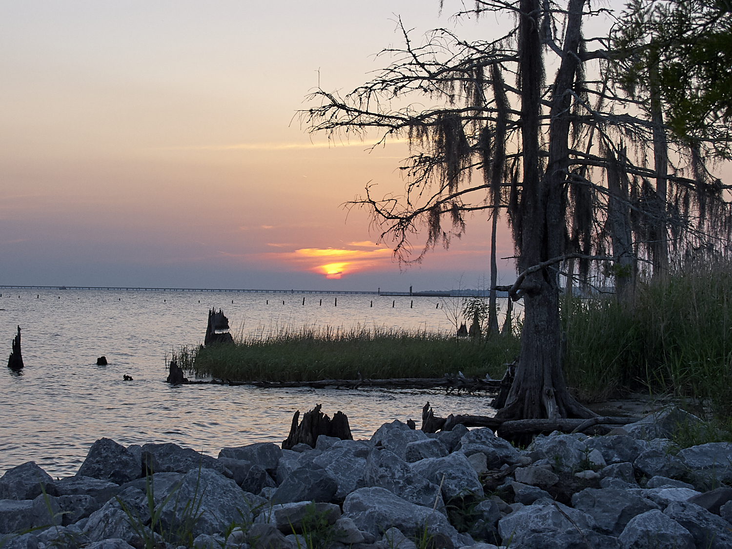 Spring Scout Campout