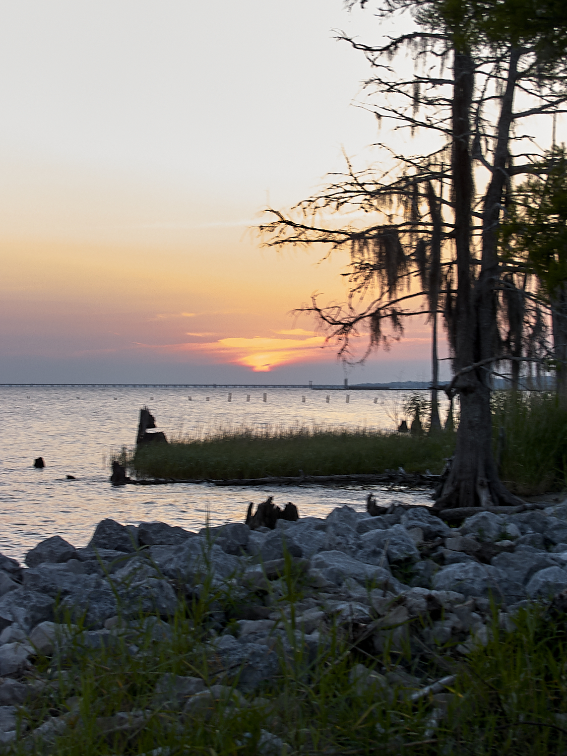 Spring Scout Campout