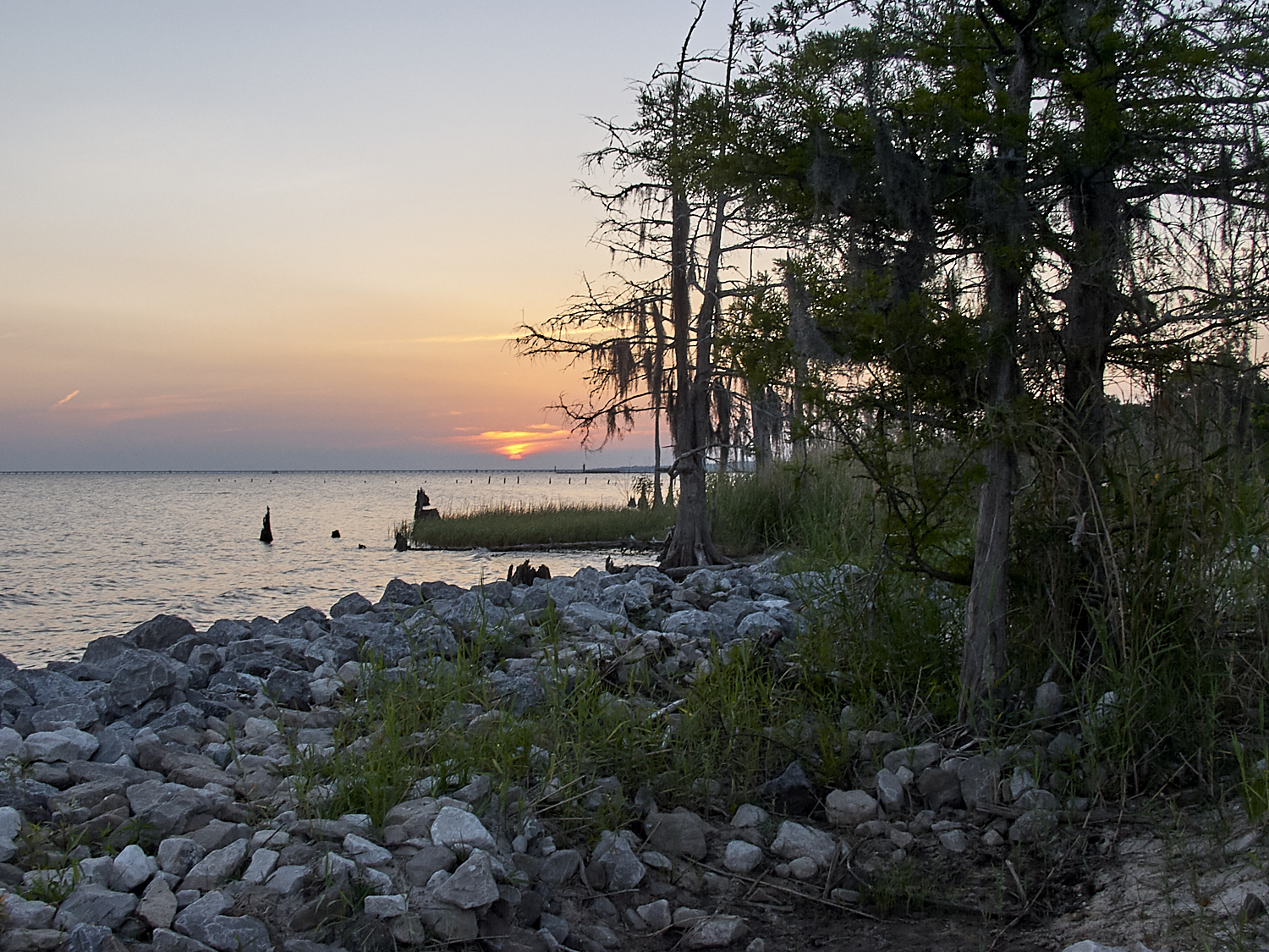 Spring Scout Campout
