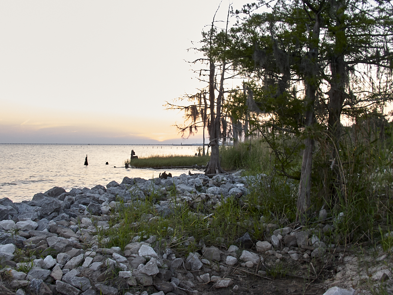 Spring Scout Campout