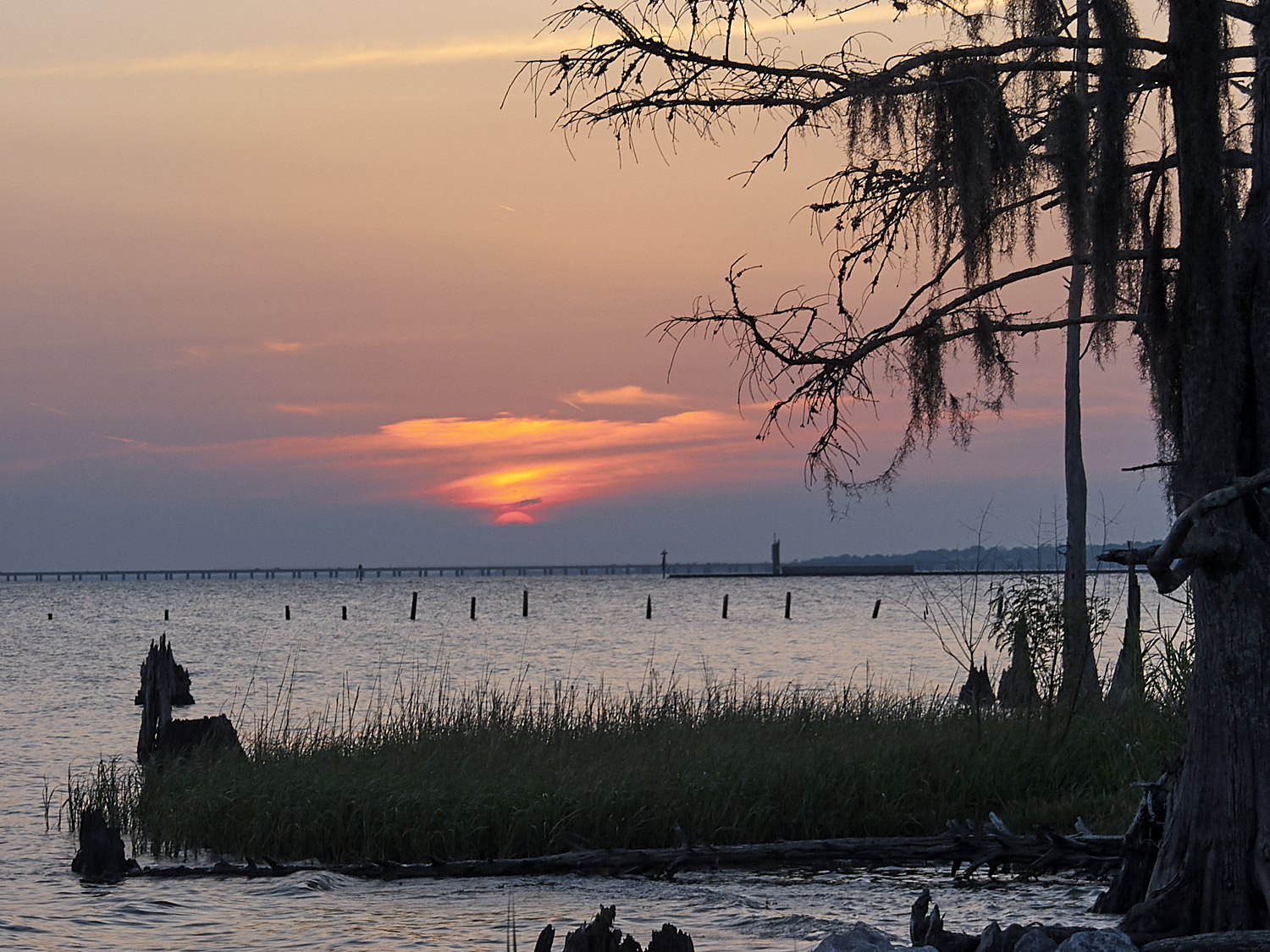 Spring Scout Campout