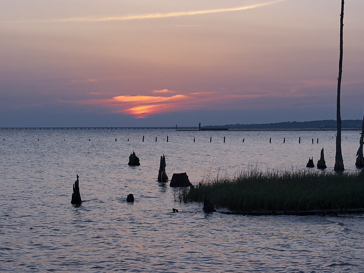 Spring Scout Campout