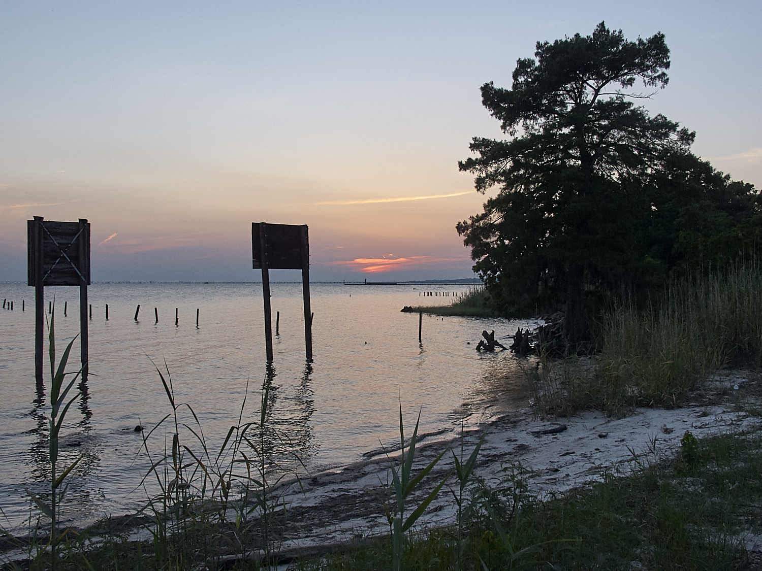 Spring Scout Campout