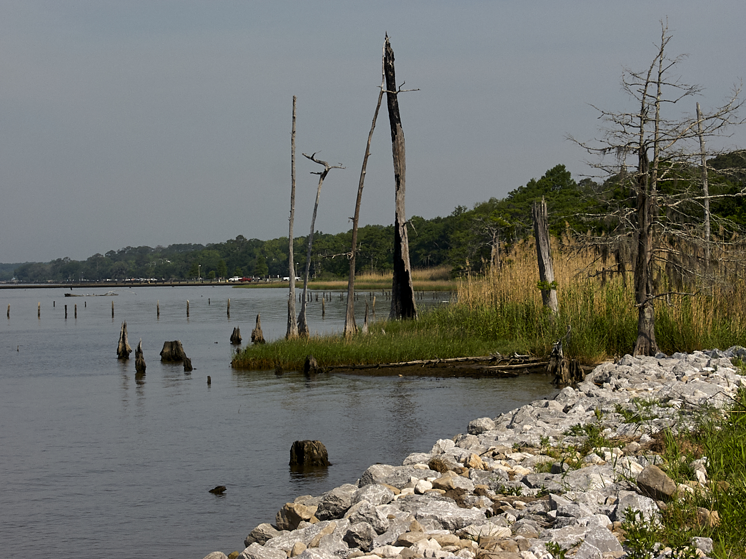 Spring Scout Campout