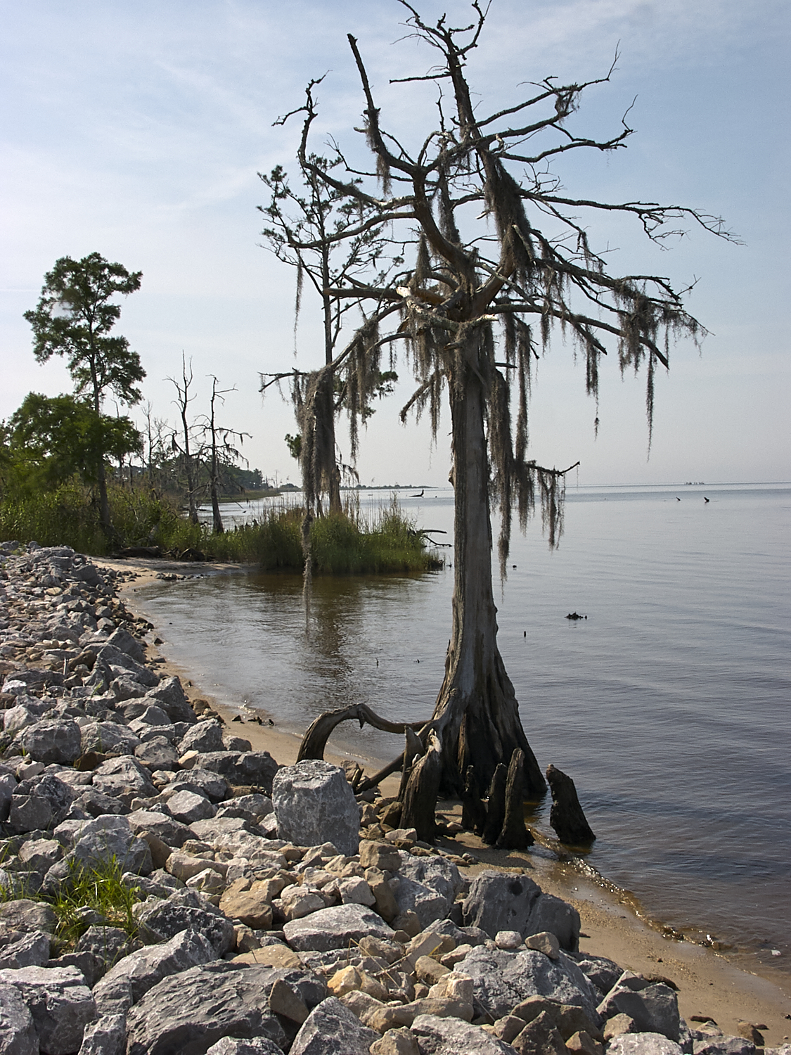 Spring Scout Campout