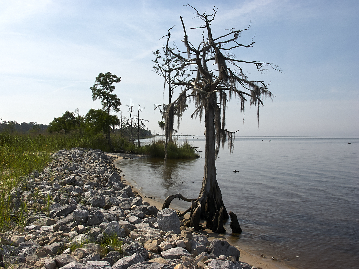Spring Scout Campout