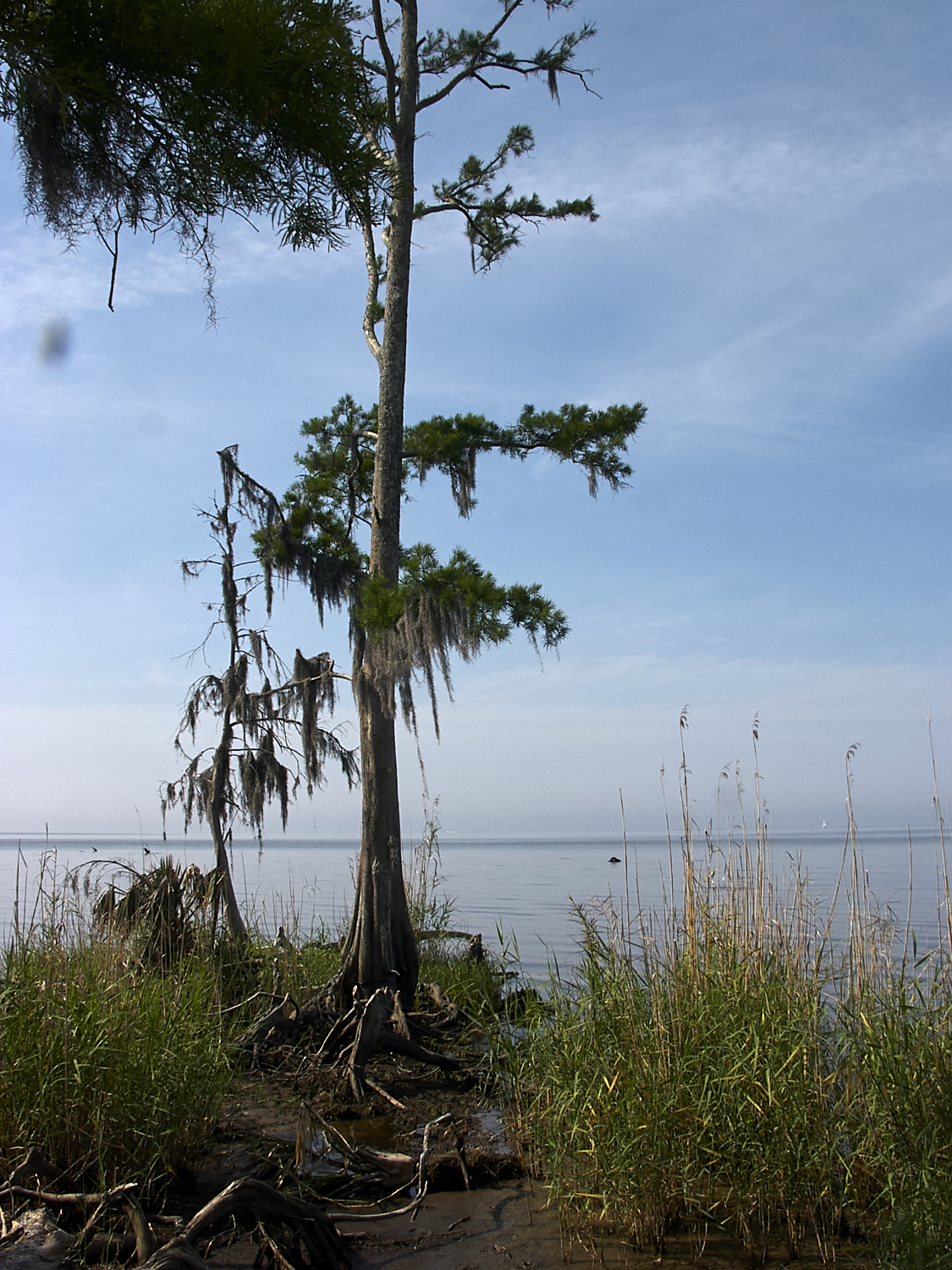 Spring Scout Campout