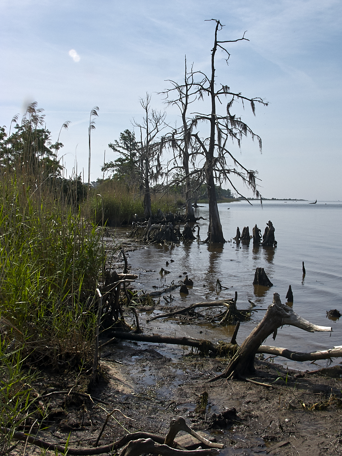 Spring Scout Campout