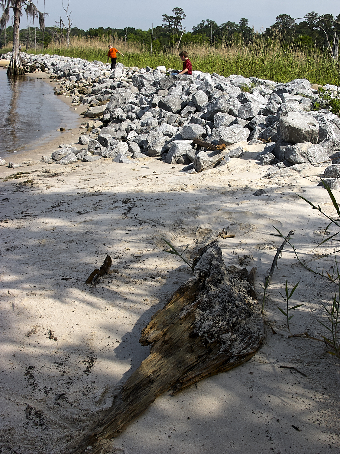 Spring Scout Campout
