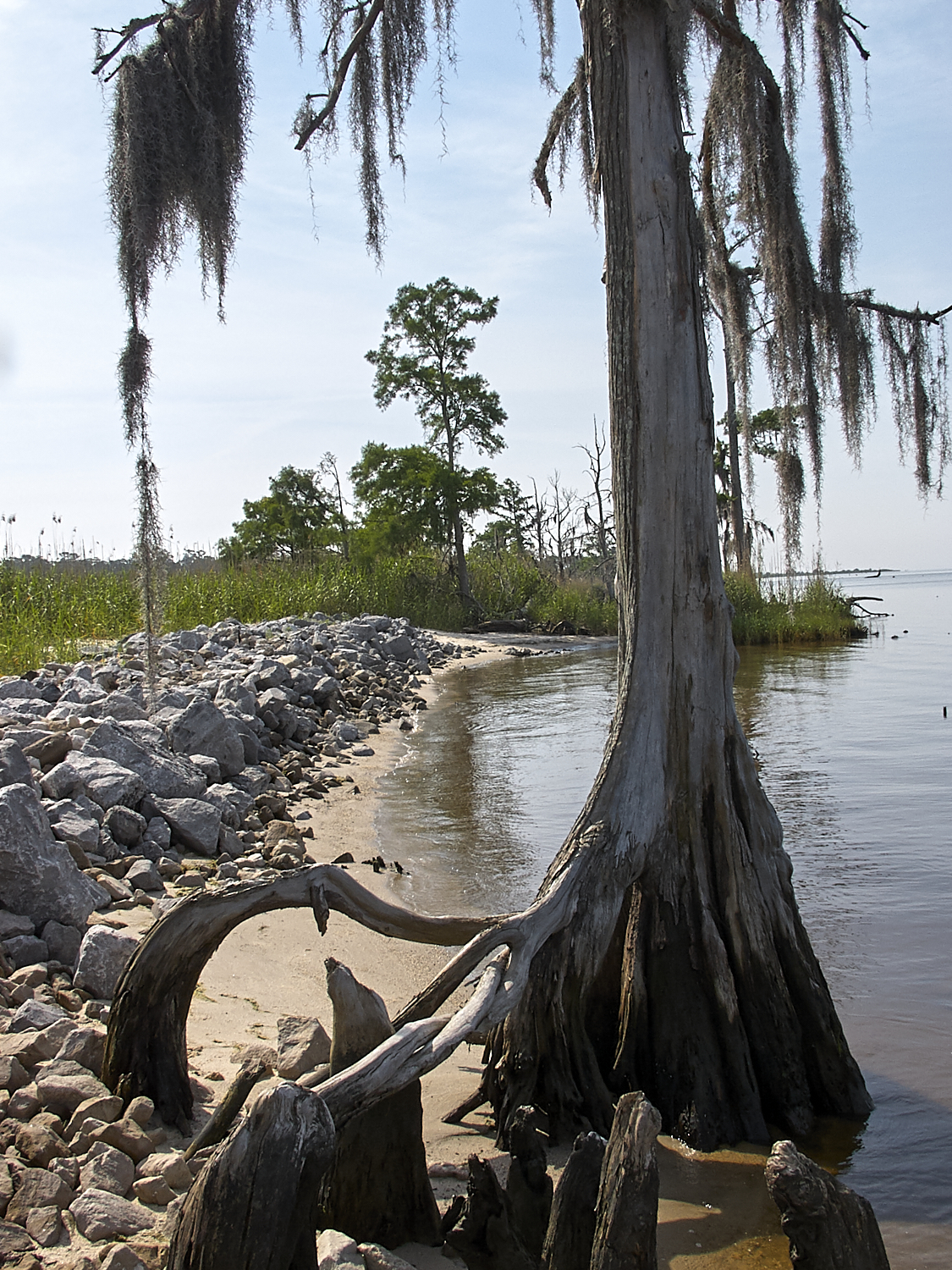 Spring Scout Campout