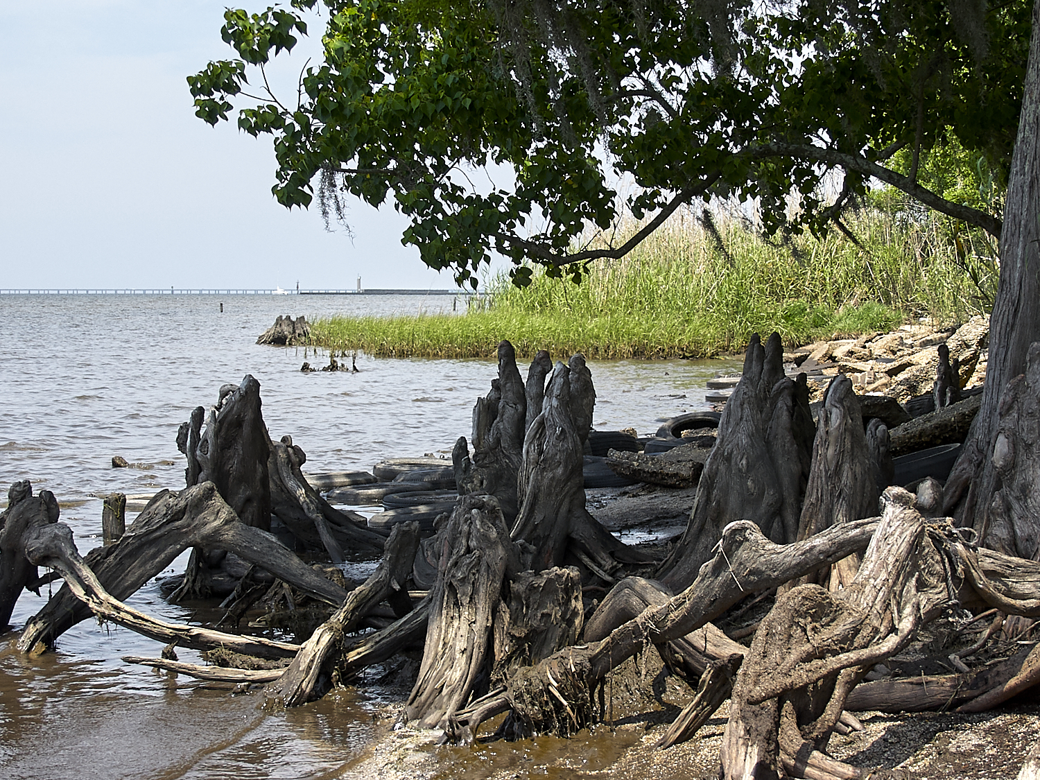 Spring Scout Campout