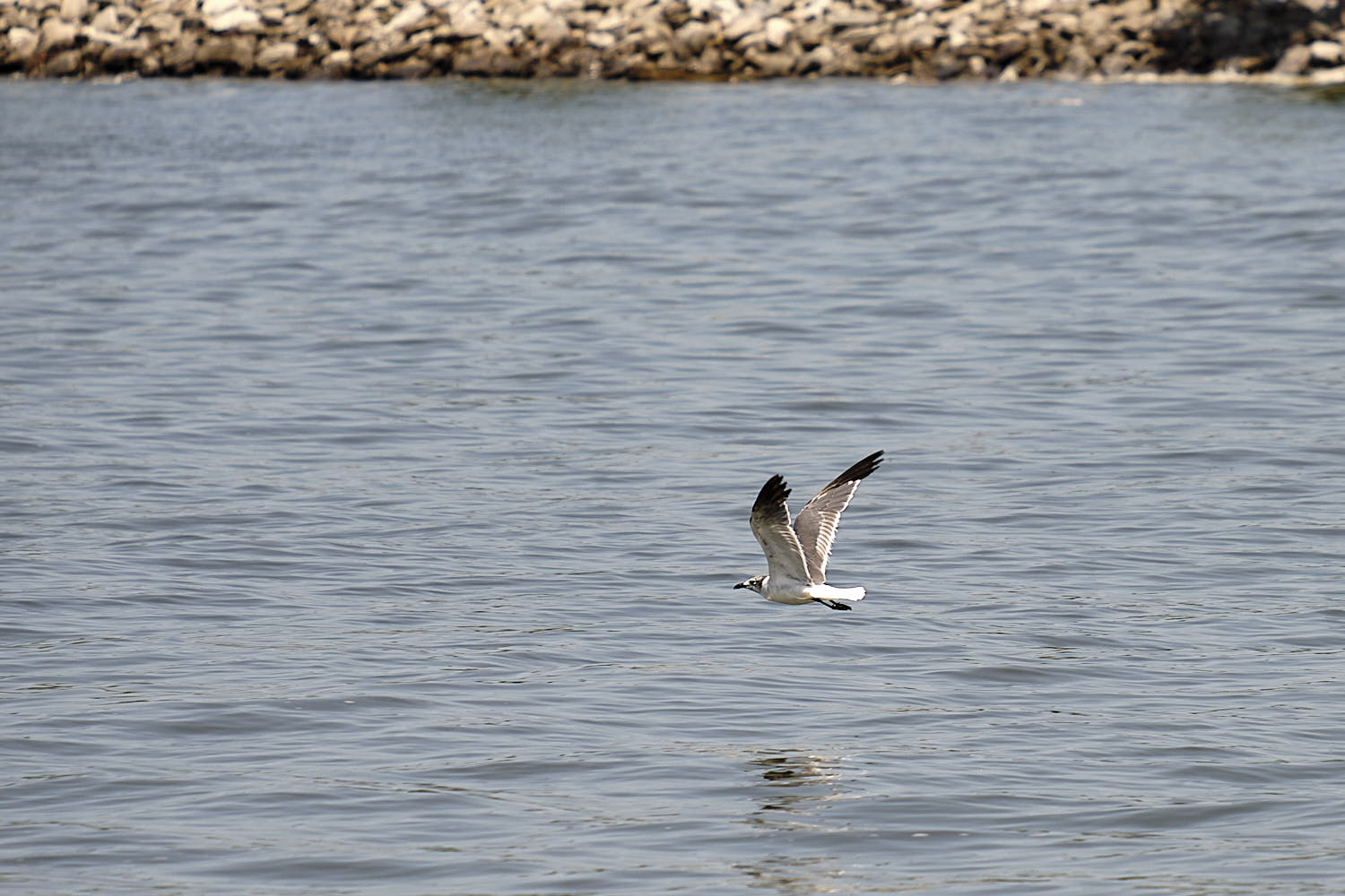 Cruise to Georgetown