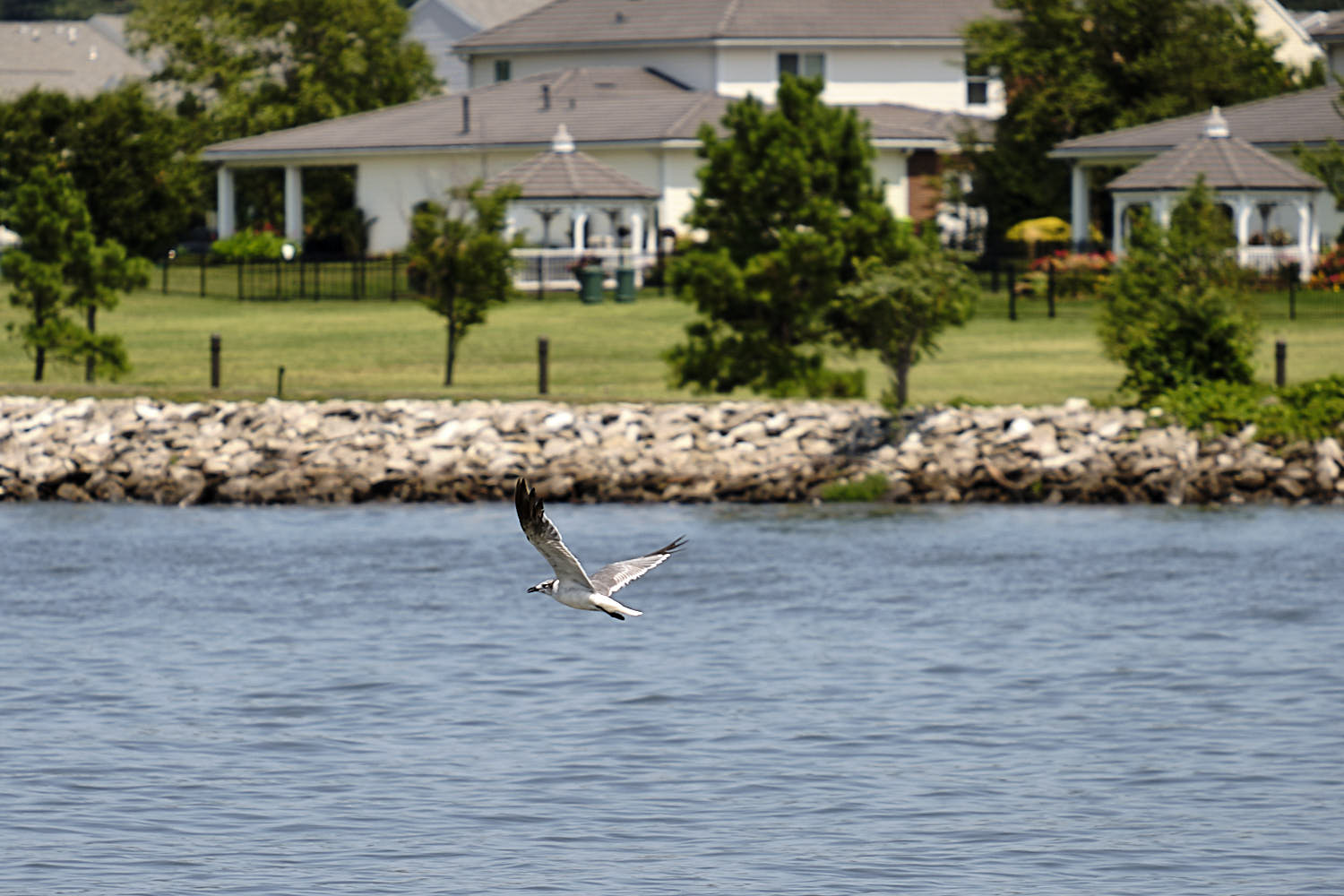 Cruise to Georgetown