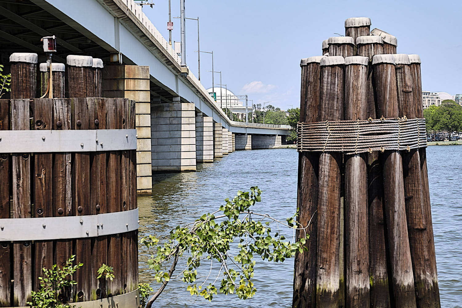 Cruise to Georgetown