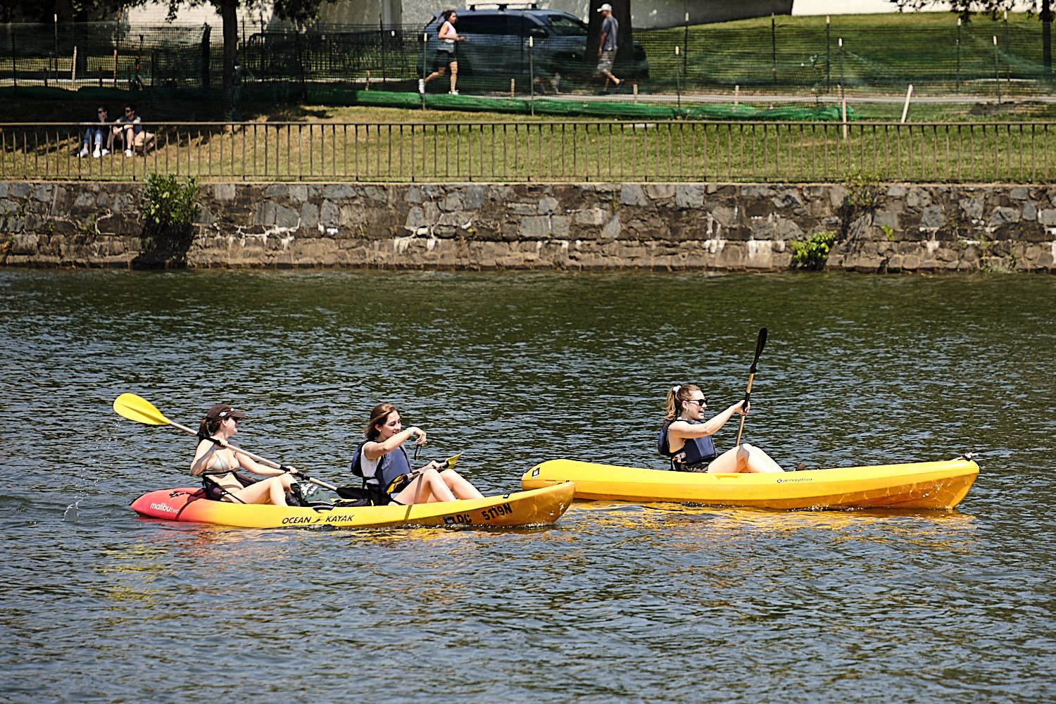 Cruise to Georgetown