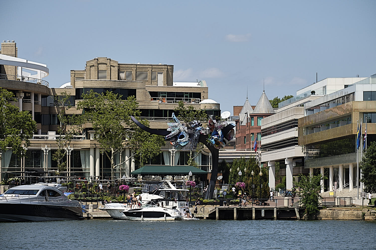 Cruise to Georgetown