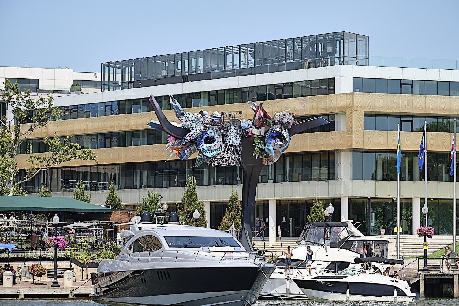 Cruise to Georgetown