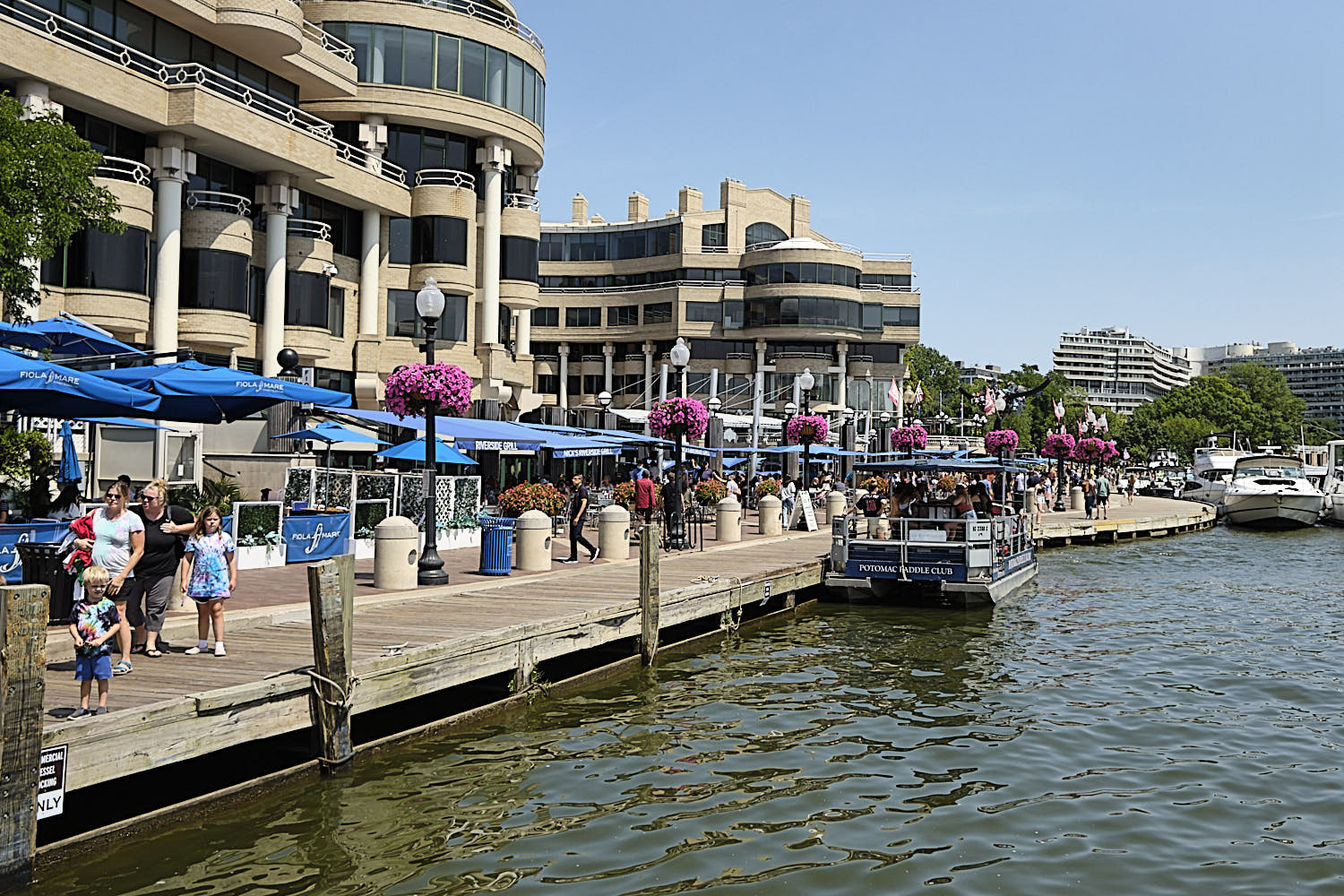 Cruise to Georgetown