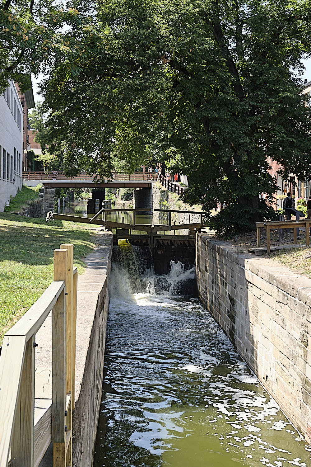 Cruise to Georgetown