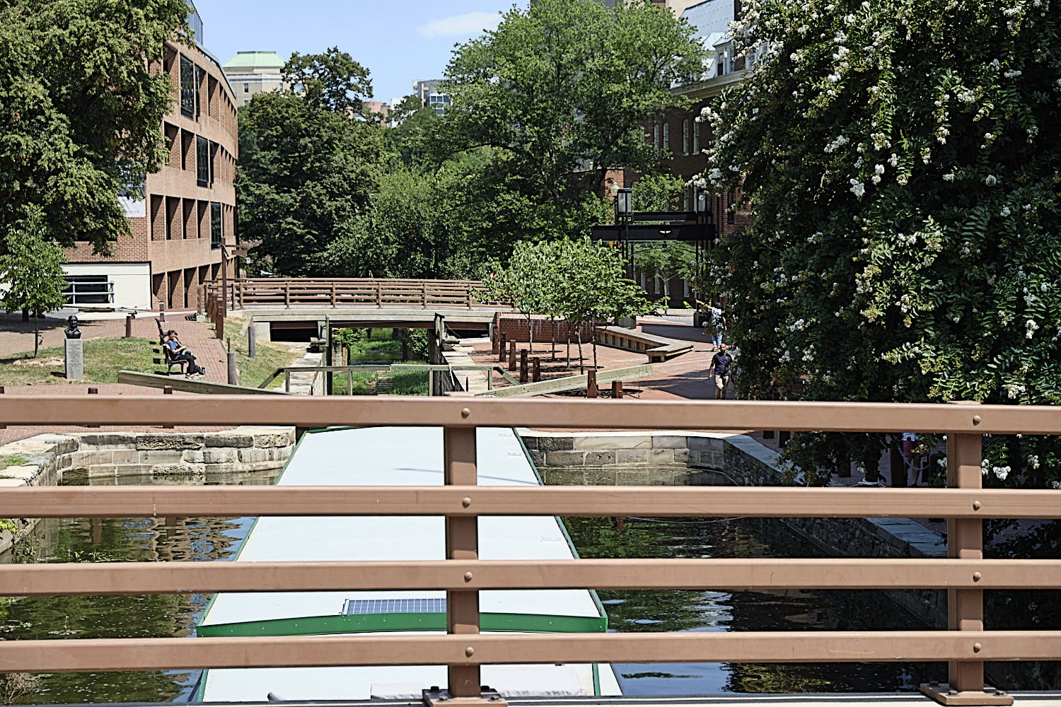 Cruise to Georgetown