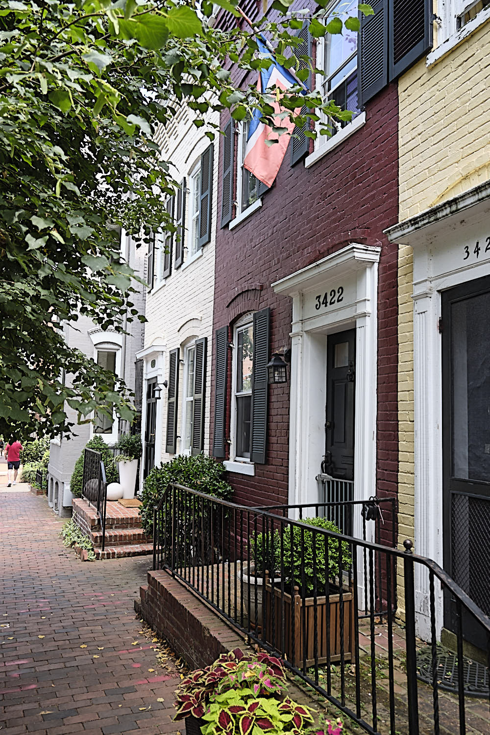 Cruise to Georgetown