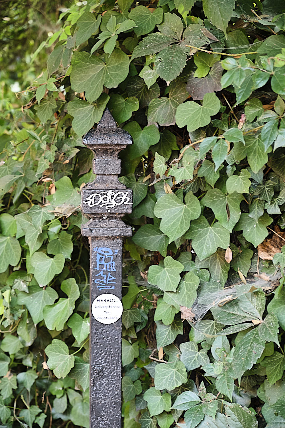 Cruise to Georgetown