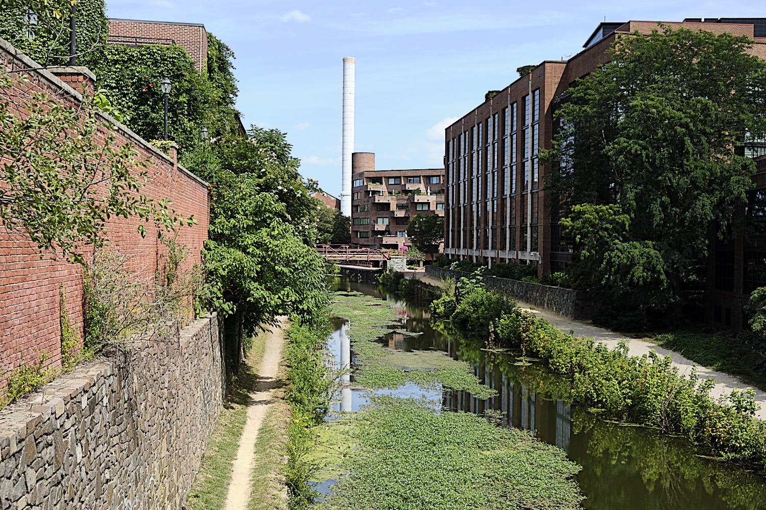 Cruise to Georgetown