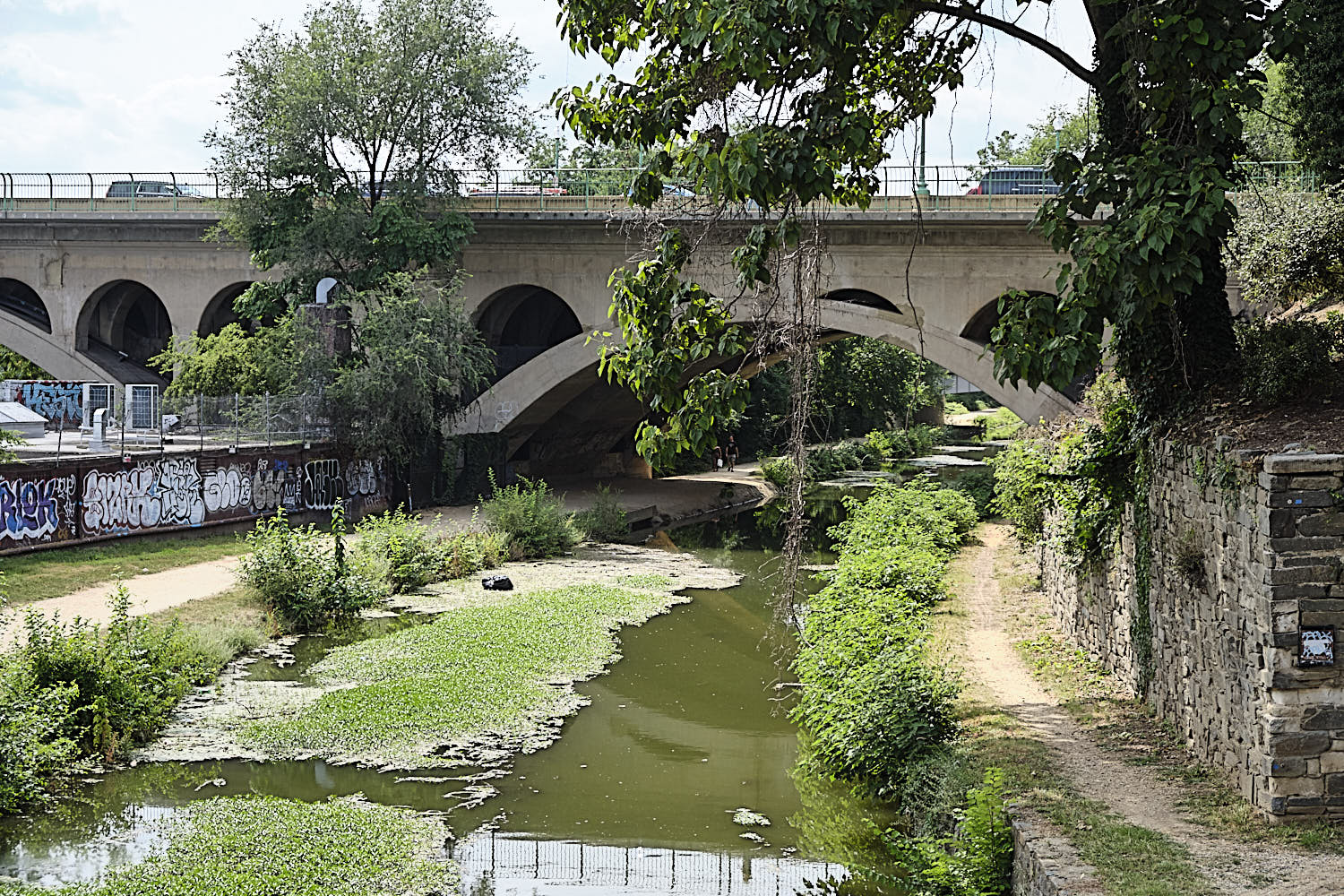 Cruise to Georgetown