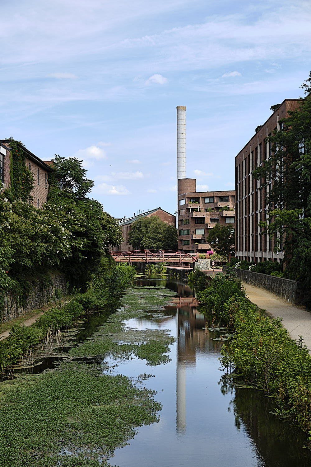 Cruise to Georgetown