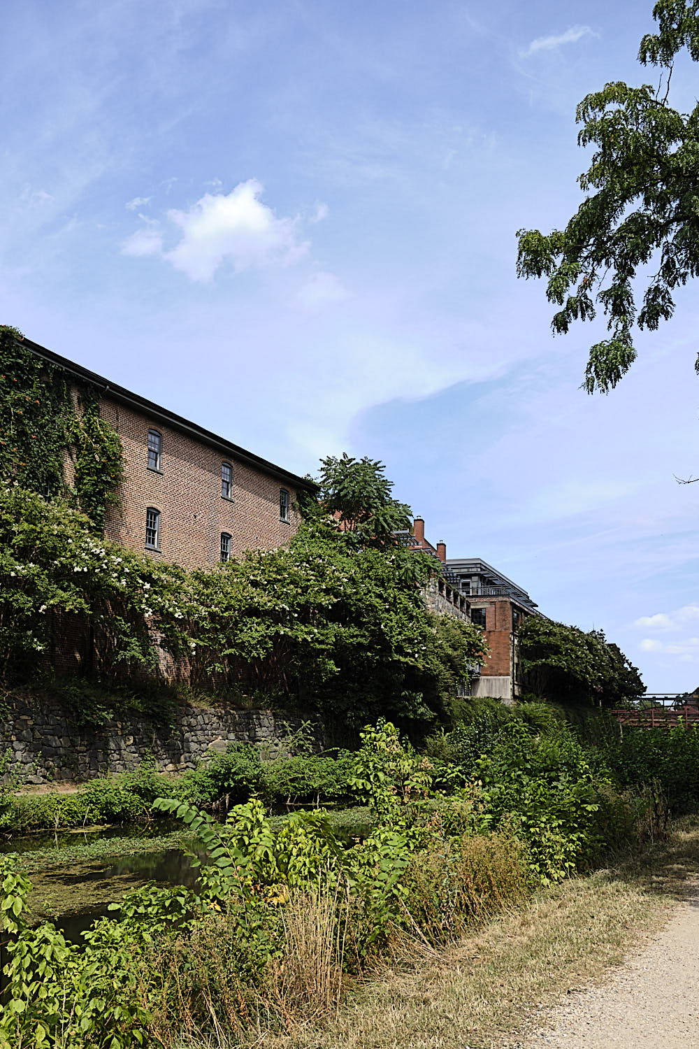 Cruise to Georgetown