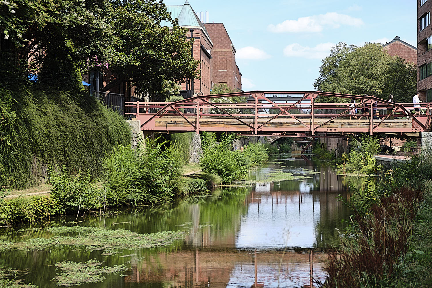 Cruise to Georgetown