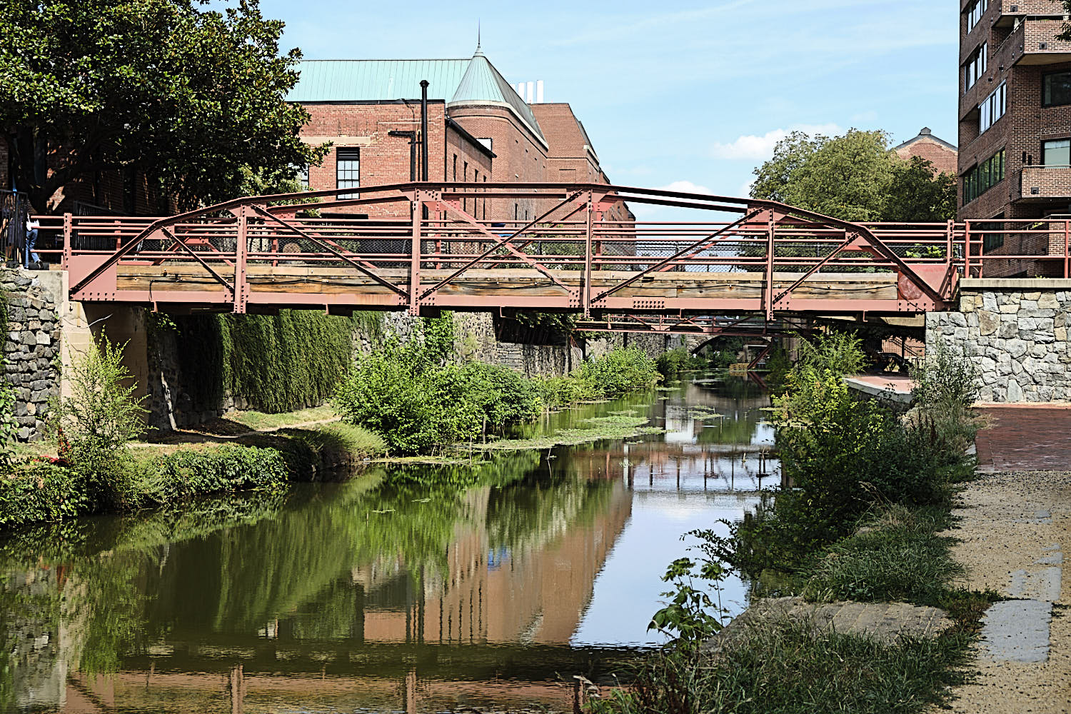 Cruise to Georgetown