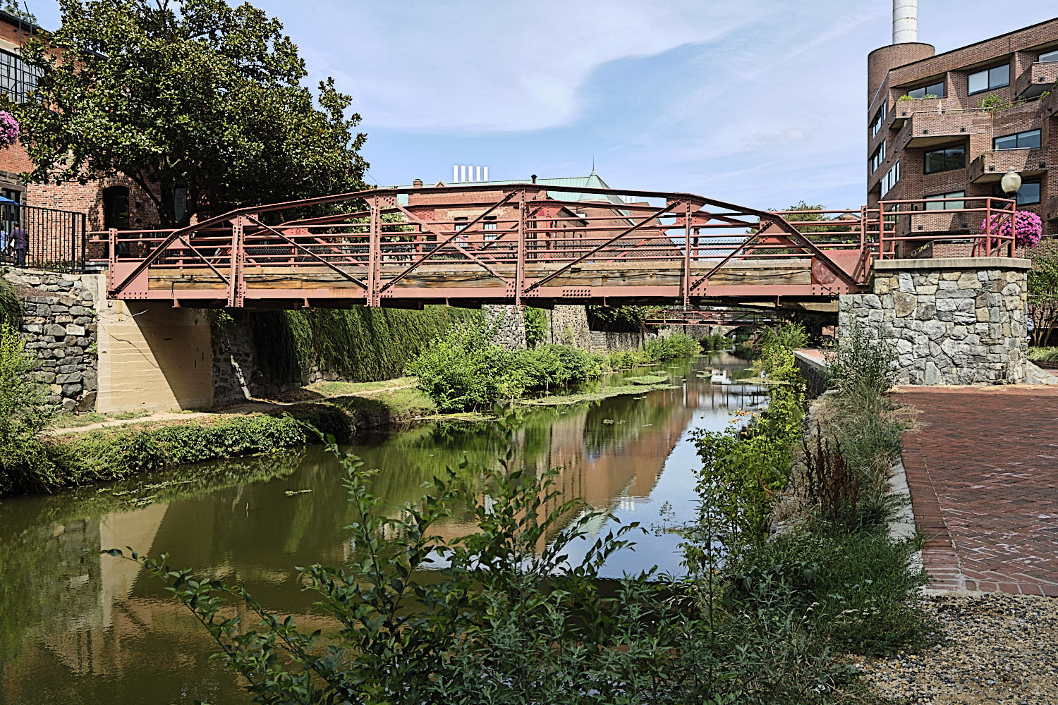 Cruise to Georgetown