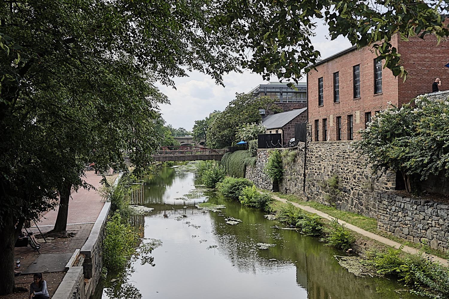 Cruise to Georgetown