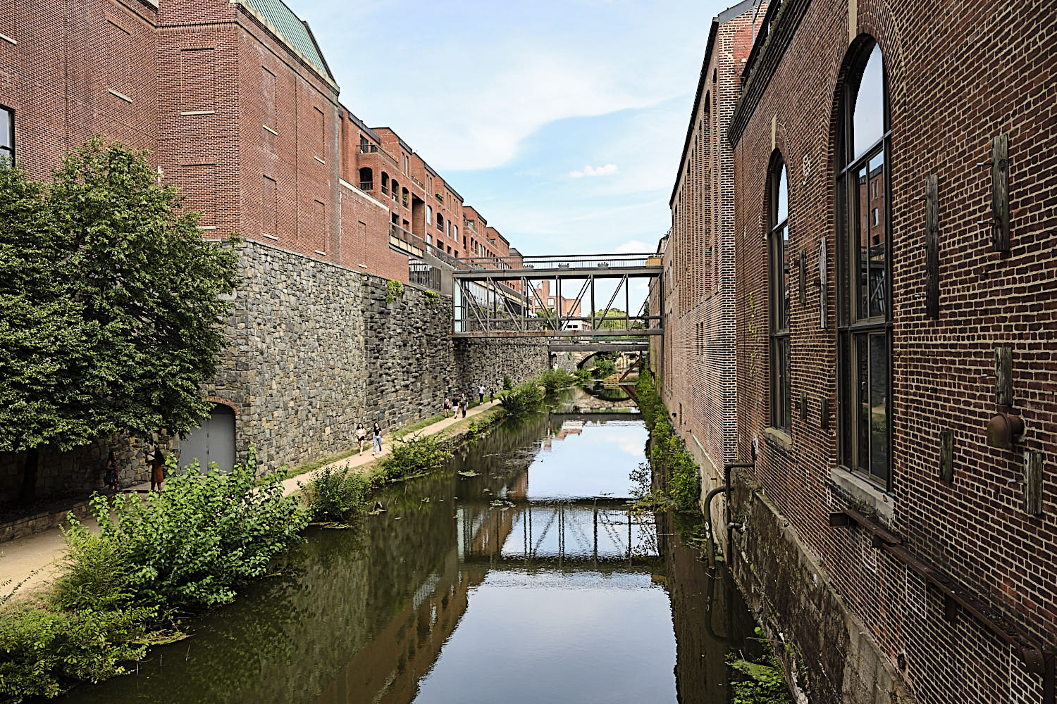 Cruise to Georgetown