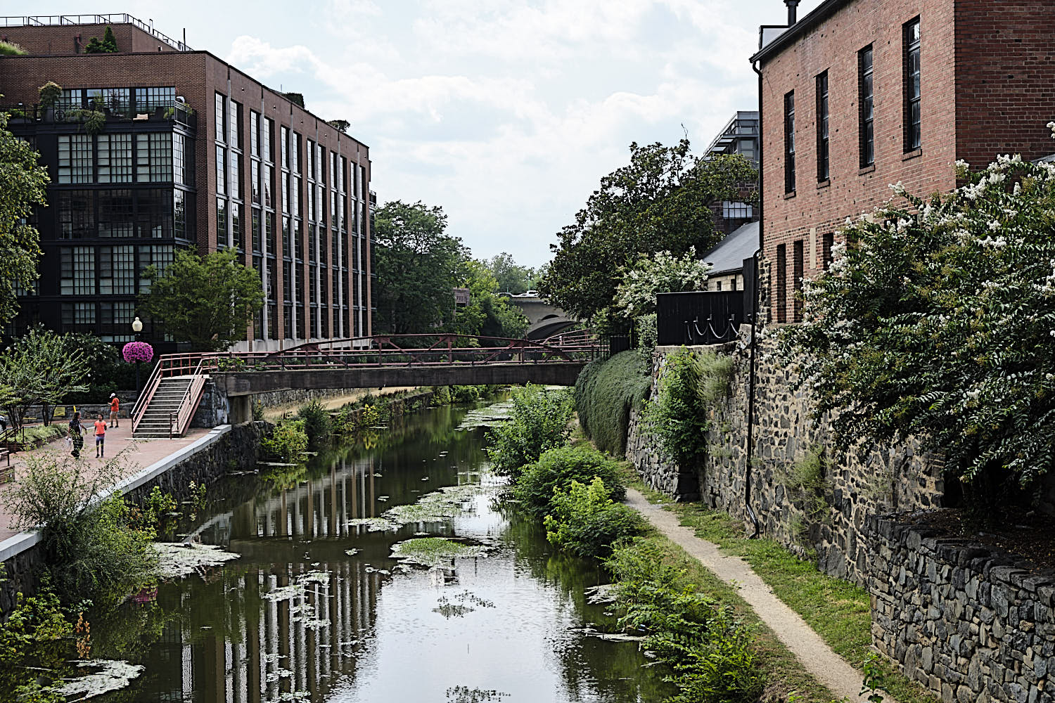 Cruise to Georgetown