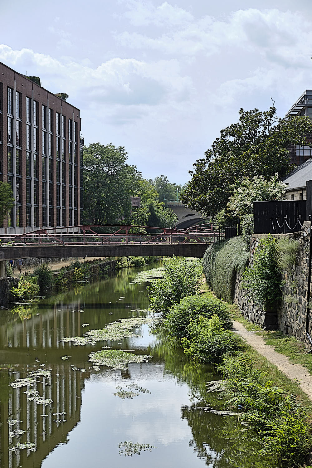 Cruise to Georgetown