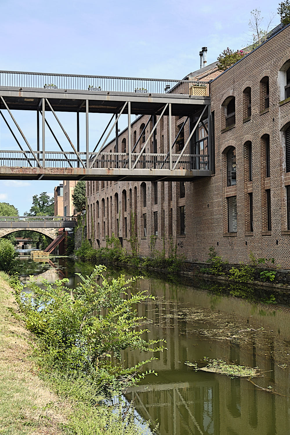 Cruise to Georgetown