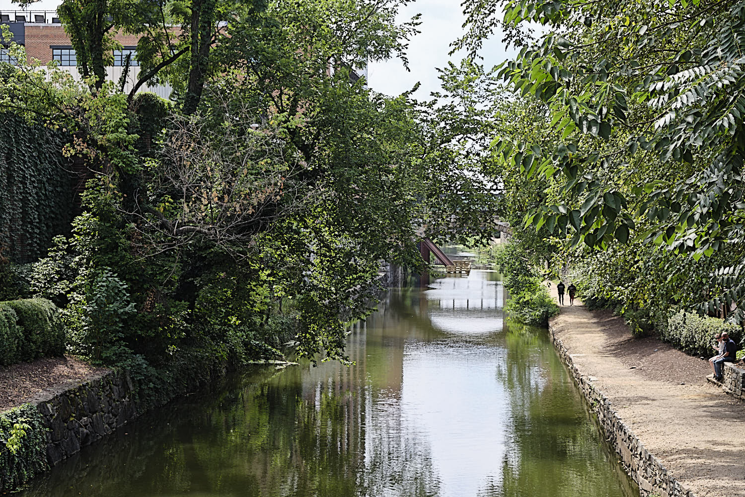 Cruise to Georgetown