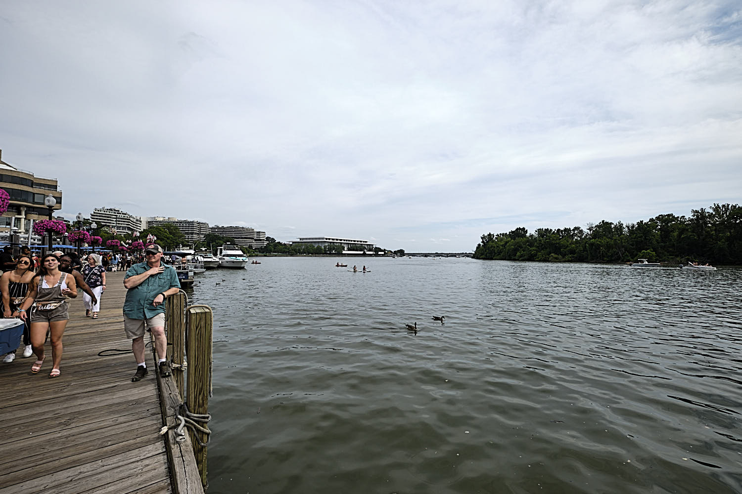 Cruise to Georgetown