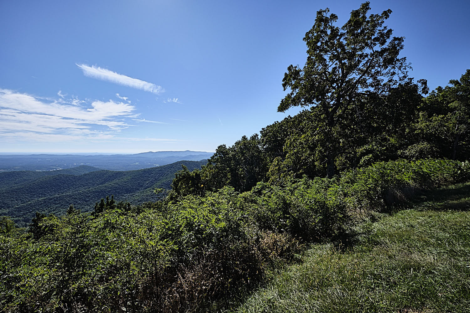 Blue Ridge Parkway